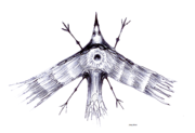 Skinny bird 20050817.png