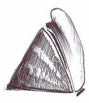 Icerberg and ship 20060927.gif