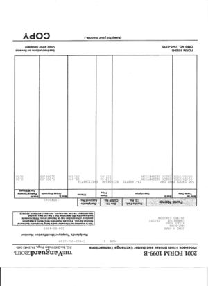 Vanguard jong h park tax03.jpg