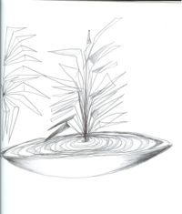 Dish and sequence flower 20090506.jpg