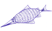 Fish 2 jong 20050728.gif
